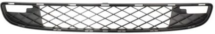 Smart Radiateurgrille 6502073502996P
