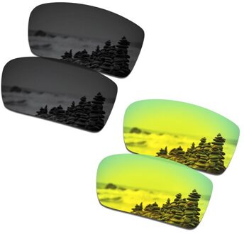 SmartVLT 2 Pairs Gepolariseerde Zonnebril Vervanging Lenzen voor Oakley Gascan Stealth Zwart en 24K Goud