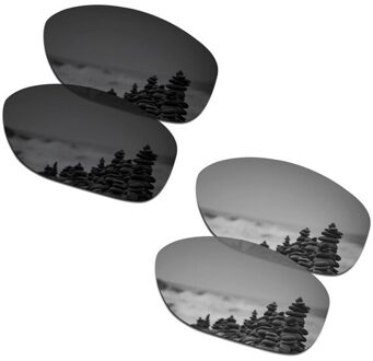 SmartVLT 2 Pairs Gepolariseerde Zonnebril Vervanging Lenzen voor Oakley Pit Bull Stealth Zwart en Zilver Titanium