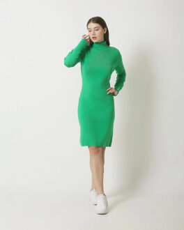 Smashed Lemon 23841 turtle neck jurk | Groen - XL