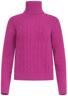 Smashed Lemon 23845 paarse turtle neck top | - S