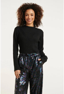 Smashed Lemon 24788 zwarte geribde coltrui met lurex - XXXL