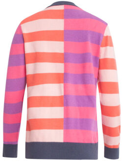 Smashed Lemon 24919 rijk gestreept geblokkeerd gebreid top | Veelkleurig - XS