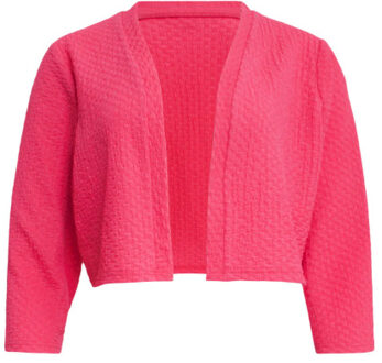 Smashed Lemon 25269 stretchy crinkle bolero | Roze - XL