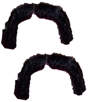 Smiffys 2x stuks zwarte Mexicaanse verkleed nepsnor - Plaksnorren/nepsnorren