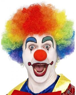 Smiffys Carnaval verkleed Afropruik groot - regenboog kleuren - volwassenen - krullen - clown