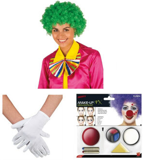 Smiffys Clown verkleed set volwassenen - Pruik/schmink/handschoenen