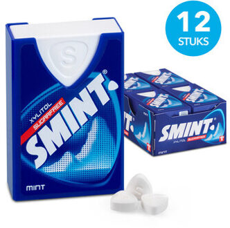 Smint Smint - Mint 12 Stuks
