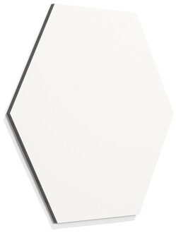 SMIT VISUAL Chameleon frameless whiteboard - Zeshoek - Wit - 58 cm