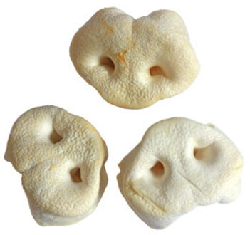 Snacks - gepofte varkensneus voor de hond 2 x 10 stuks