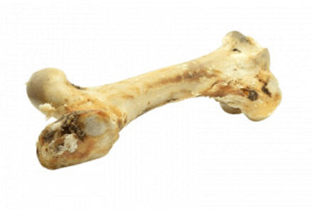 Snacks - Runderbot XXL voor de hond 1 stuk