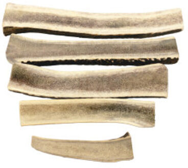 Snacks - Split Antler voor de hond Giant - Per 2
