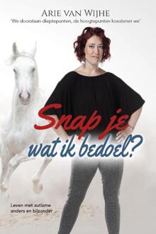 Snap je wat ik bedoel? - Boek Arie van Wijhe (9492261200)