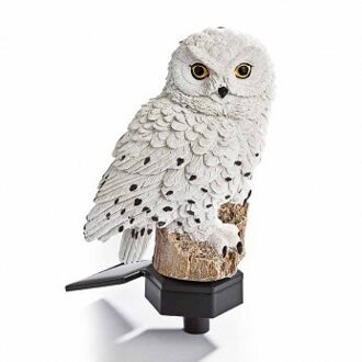 Sneeuwuil op zonne-energie