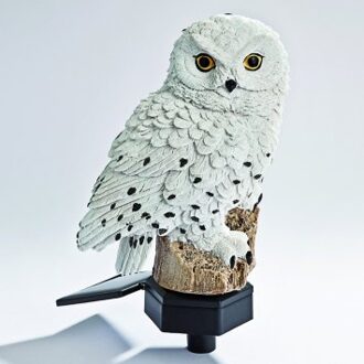 Sneeuwuil op zonne-energie