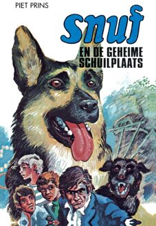 Snuf en de verborgen schat - Piet Prins - ebook