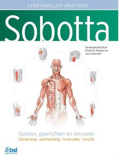Sobotta Tabellen over spieren, gewrichten en zenuwen -  Friedrich Paulsen (ISBN: 9789036830850)