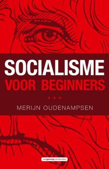 Socialisme voor beginners - Boek Merijn Oudenampsen (9461644809)