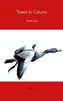 Soest in column - Boek Sander Loos (9402104283)