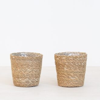 Sofia - P12 (2 stuks)