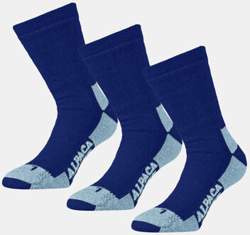 Sok 3-Pack Blauw - L