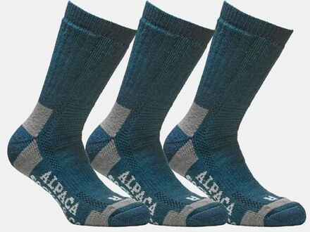 Sok 3-Pack Blauw - XL