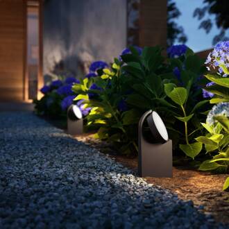 Sokkellamp Mimosa Antraciet 7w