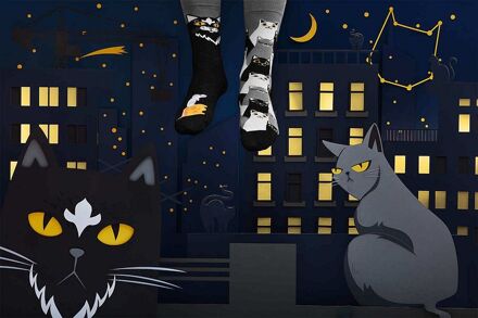 Sokken Black Cat Multicolour