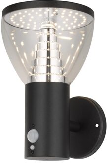 Solar wandlamp Spiez RVS met bewegingssensor