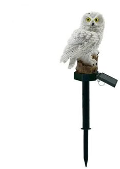 Solartuinlamp Outdoor Papegaai Uil Led Fairy Licht Gazon Lamp Tuin Decor Landschap Night Waterdicht Aangedreven Energia Lamp Owl wit