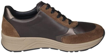 Solidus 46023 holly 023 Bruin - 40