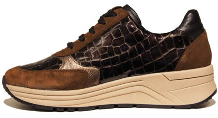 Solidus 59083 karma Bruin - 39