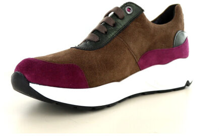 Solidus 66034 237.01.039 Veelkleurig - 38