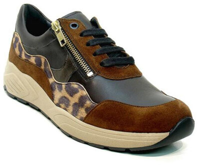 Solidus 66034 kea 034 - maat 38 Bruin