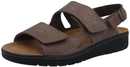 Solidus 78061-303 - maat 39,5 Bruin