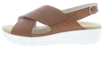 Solidus Greta g - maat 39,5 Klaproos