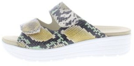 Solidus Greta g - maat 40,5 Veelkleurig