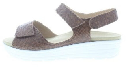 Solidus Greta g - maat 42 Veelkleurig