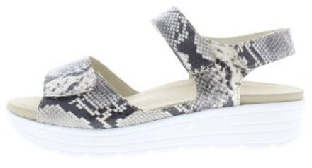 Solidus Greta g Veelkleurig - 39