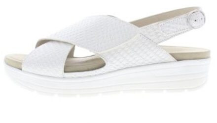 Solidus Greta g Wit - 39,5