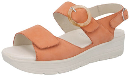 Solidus Greta Rood - 37,5