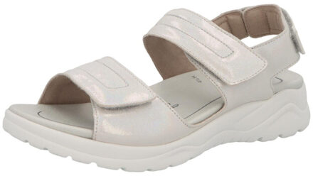 Solidus Haika Grijs - 37,5