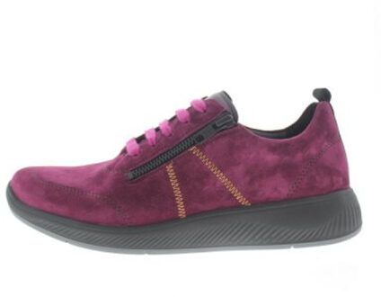 Solidus Halea h Paars - 37,5