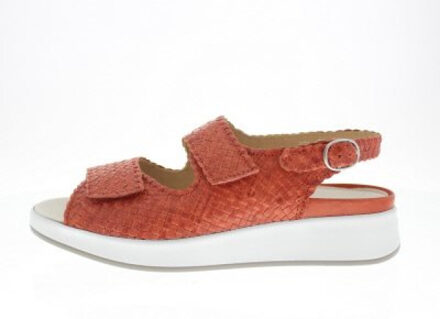 Solidus Hannah h Oranje - 39,5