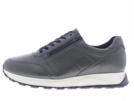 Solidus Harry Groen - 42,5