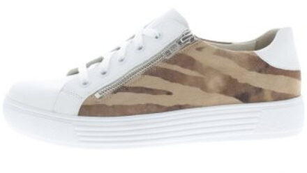 Solidus Hazel h Veelkleurig - 38,5