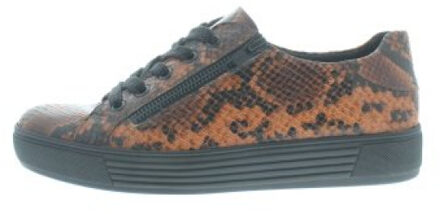 Solidus Hazel h Veelkleurig - 42