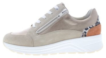 Solidus Holly Bruin - 37,5