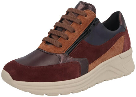 Solidus Holly Rood - 37,5