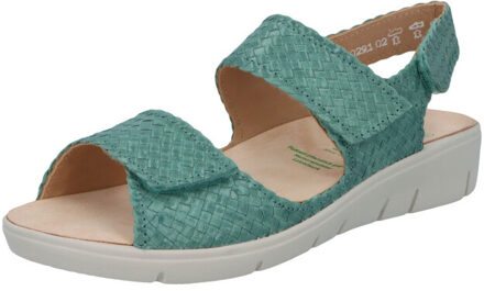 Solidus Honey Groen - 41,5